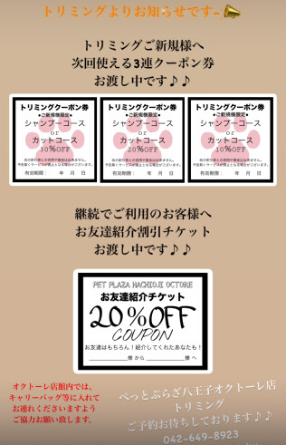 トリミングよりお知らせです✄﻿