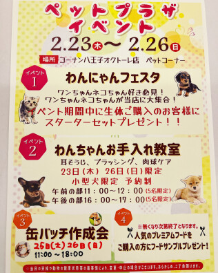 ペットプラザイベント開催します✨