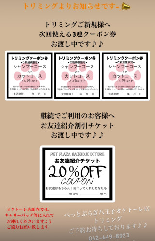 トリミングよりお知らせです✄﻿