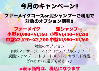 トリミング1月オプションキャンペーン✨️