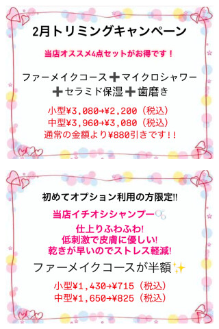 2月トリミングオプションキャンペーン✄﻿