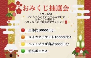 お店にいる犬猫ちゃん情報🐶🐱