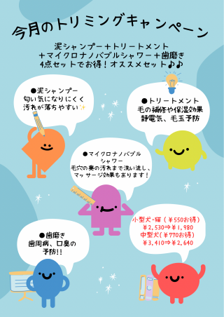トリミングよりお知らせです✄﻿