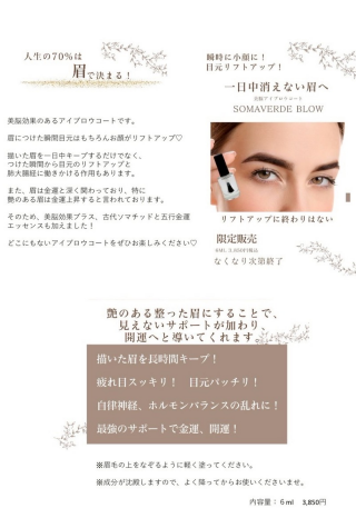 人気のアイブロウコート再入荷決定‼️